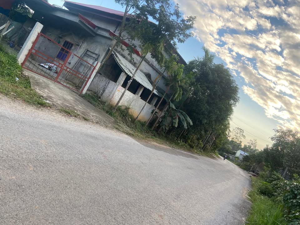 Đất nền Tư Hiệp, Hạ Hoà 300m² - Mặt tiền 10m, giá hợp lý