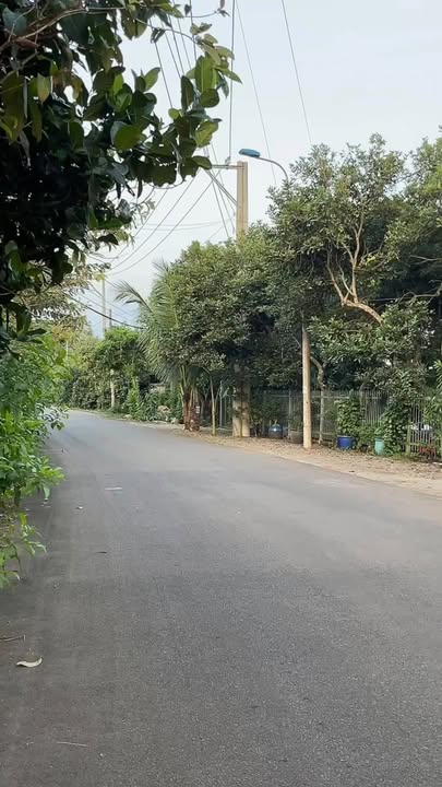 Đất vườn trái cây 5000m² phường Bảo Vinh - Long Khánh chỉ 1,1 tỷ - Đầu tư sinh lời ngay!