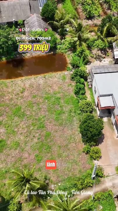 Đất nền Tân Phú, Cai Lậy 705m² giá 399 triệu - Sổ đỏ chính chủ sẵn sàng giao dịch!
