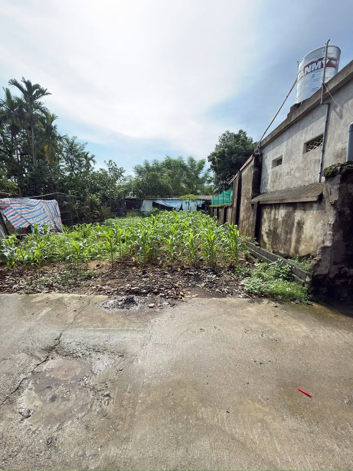 Đất thổ cư 81m² tại Đông Hạ, Quốc Oai - Giá 2 tỷ, chính chủ bán gấp!