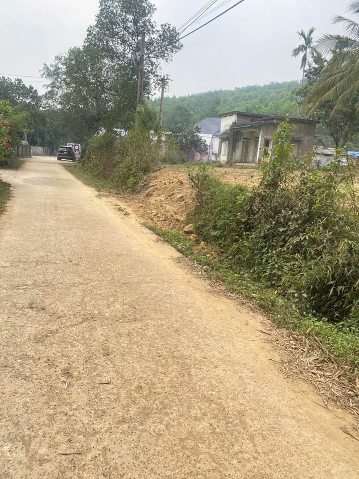 Bán đất Đồng Nội, Đồng Tâm, Lạc Thủy 1.098,1m² - Vị trí đẹp, phù hợp nghỉ dưỡng!