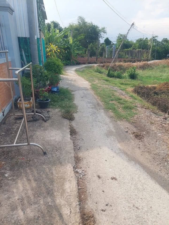 Đất vườn 445m² Phước Hậu, Cần Giuộc giá 3.8 tỷ - Đầu tư sinh lời ngay!