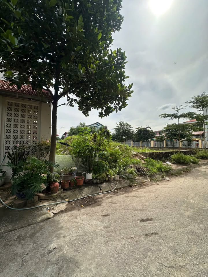 Đất đấu giá Phú Nhi, Thanh Lâm, Mê Linh 90m² giá 5 tỷ - View vườn hoa tuyệt đẹp!