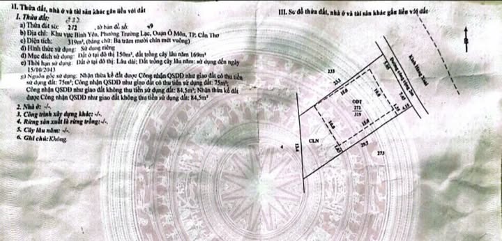 Đất thổ cư 319m² Trường Lạc Ô Môn giá chỉ 690 triệu - Sổ hồng chính chủ!