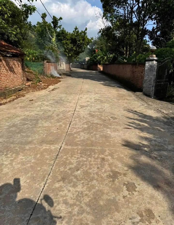 Đất nền Hy Cương Việt Trì 104m² giá 500 triệu - Đầu tư sinh lời cao!