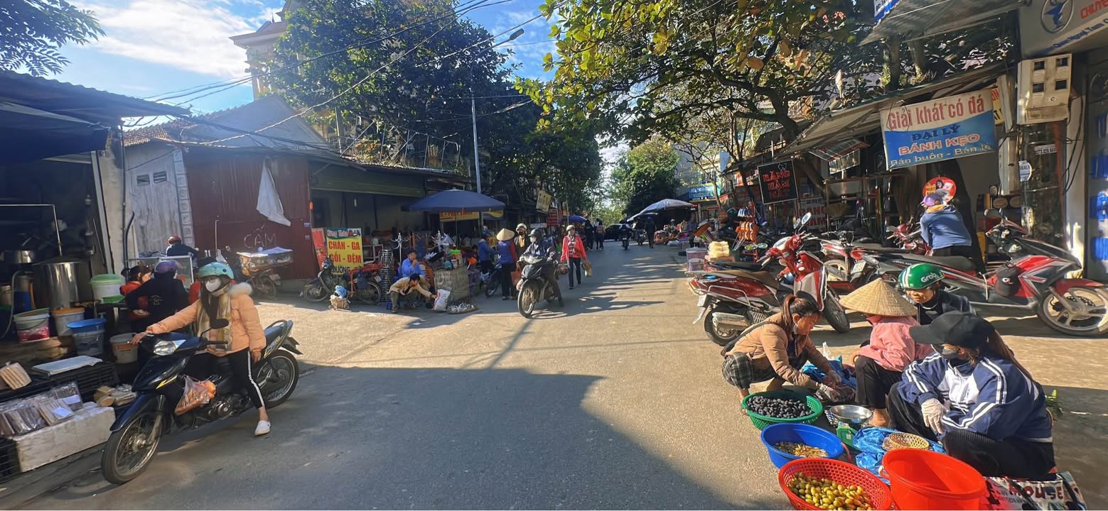 Đất kinh doanh Tam Quan, Tam Đảo 233m² giá 2 tỷ - Đường ô tô rộng rãi!