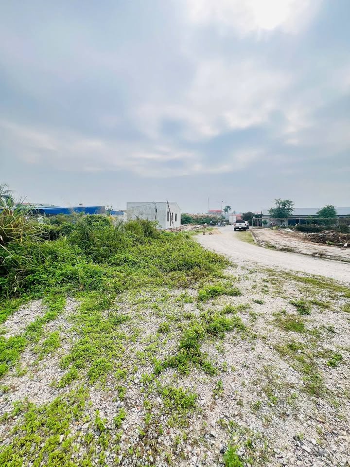 Bán lô đất 52m² tại Văn Tràng 1, Trường Sơn, An Lão - Giá chỉ từ 800 triệu!