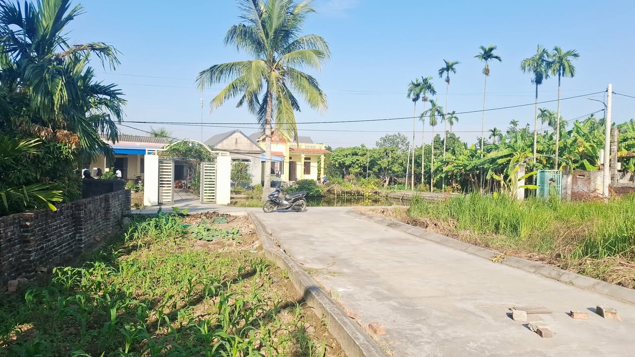 Đất nền An Quang, Hải Phòng 62m² giá 500 triệu - Lô góc 2 mặt tiền đẹp