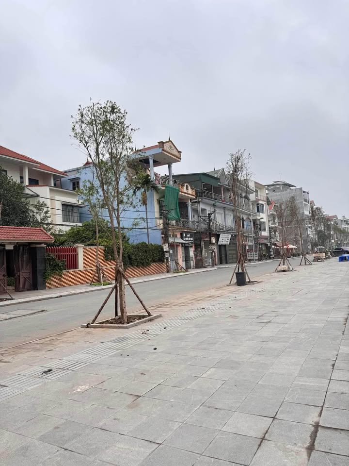 Đất thổ cư Đình Bảng, Từ Sơn 90m² giá 6 tỷ - Vị trí đắc địa gần hồ điều hòa!