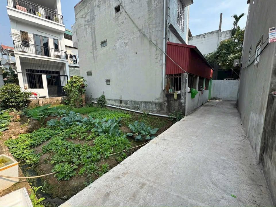 Đất Phúc Lợi 50m² giá tốt - Mặt tiền 4.77m, gần trường học!