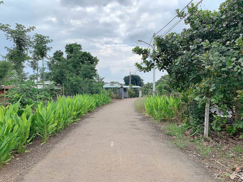 Đất nền Kim Long Châu Đức 1002m² - Tiềm năng nghỉ dưỡng tuyệt vời!