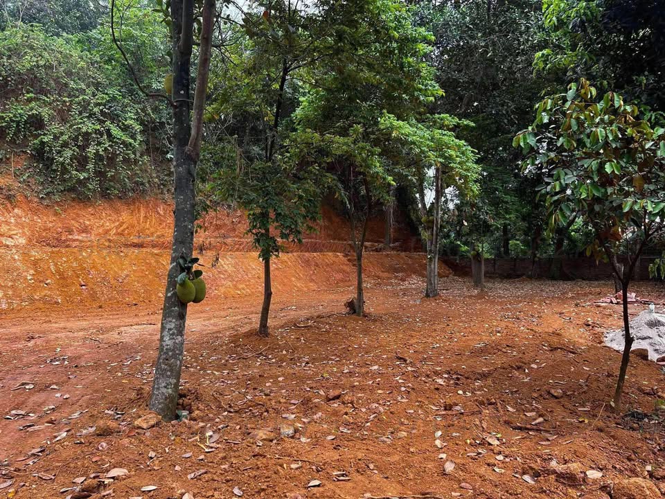 Đất Tiên Phương Chương Mỹ 1781m² giá 32.058 tỷ - Cơ hội đầu tư lớn!