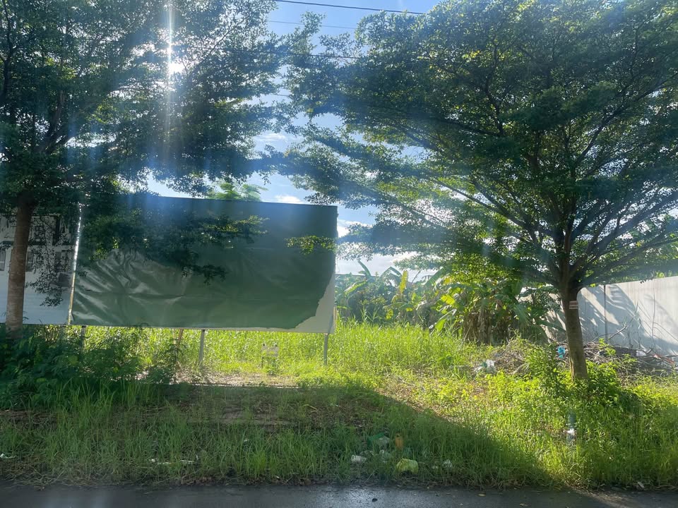 Đất nền đường Huỳnh Quảng - KĐT Hoàng Tâm, Cà Mau 130m² giá 970 triệu - Đầu tư sinh lời ngay!