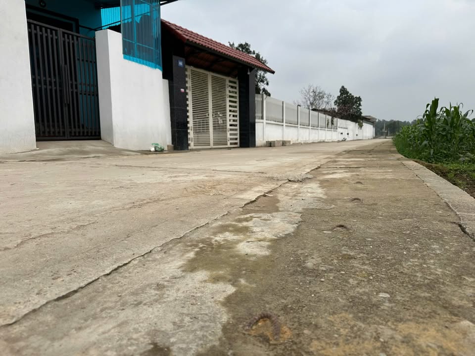 Đất thổ cư 86.9m² tại thôn Nhân Mỹ, Thanh Vân - Giá đầu tư chỉ 1.2 tỷ!