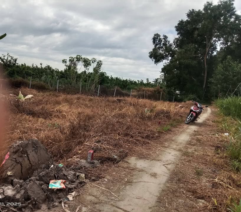 Đất nền Mỹ Thạnh Trung, Tam Bình, Vĩnh Long 115m² giá 150 triệu - Sổ đỏ chính chủ!