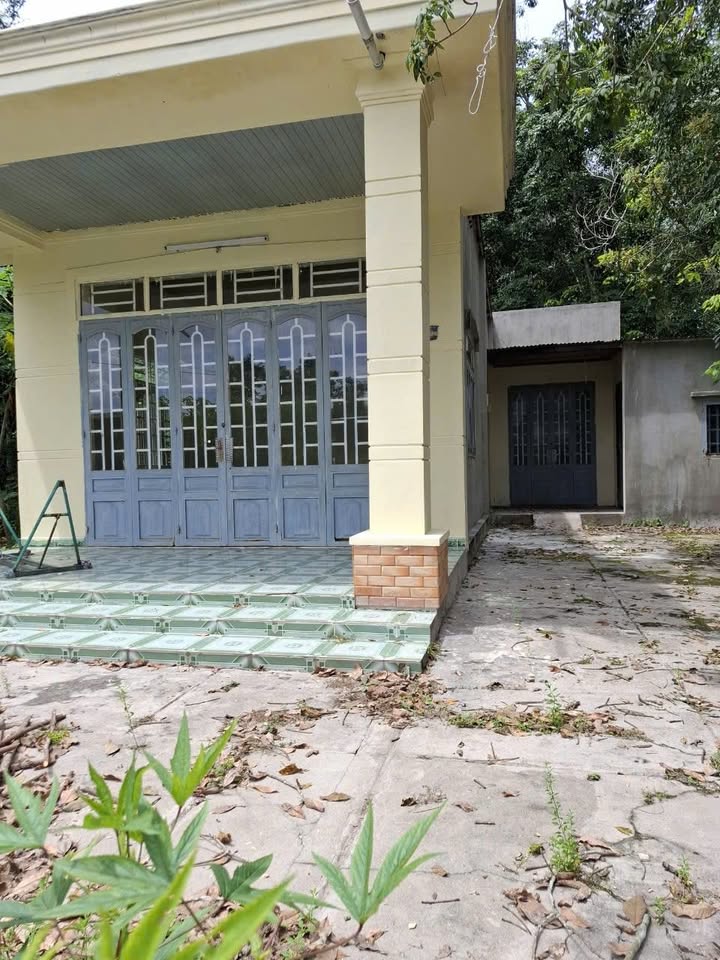 Đất thổ cư Bến Củi, Tây Ninh 1200m², giá chỉ 490 triệu - Cơ hội vàng cho đầu tư!