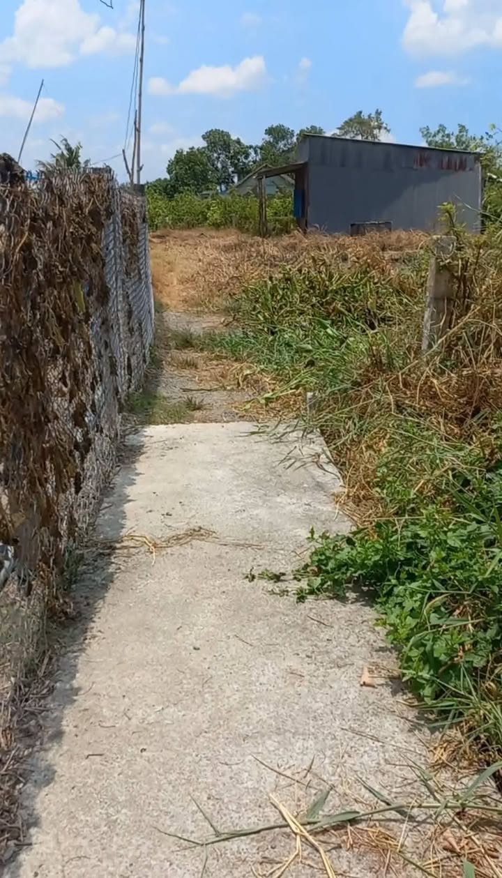 Đất thổ vườn 750m² xã Mỹ Lệ, Long An chỉ 1.125 tỷ - Cơ hội đầu tư hấp dẫn!