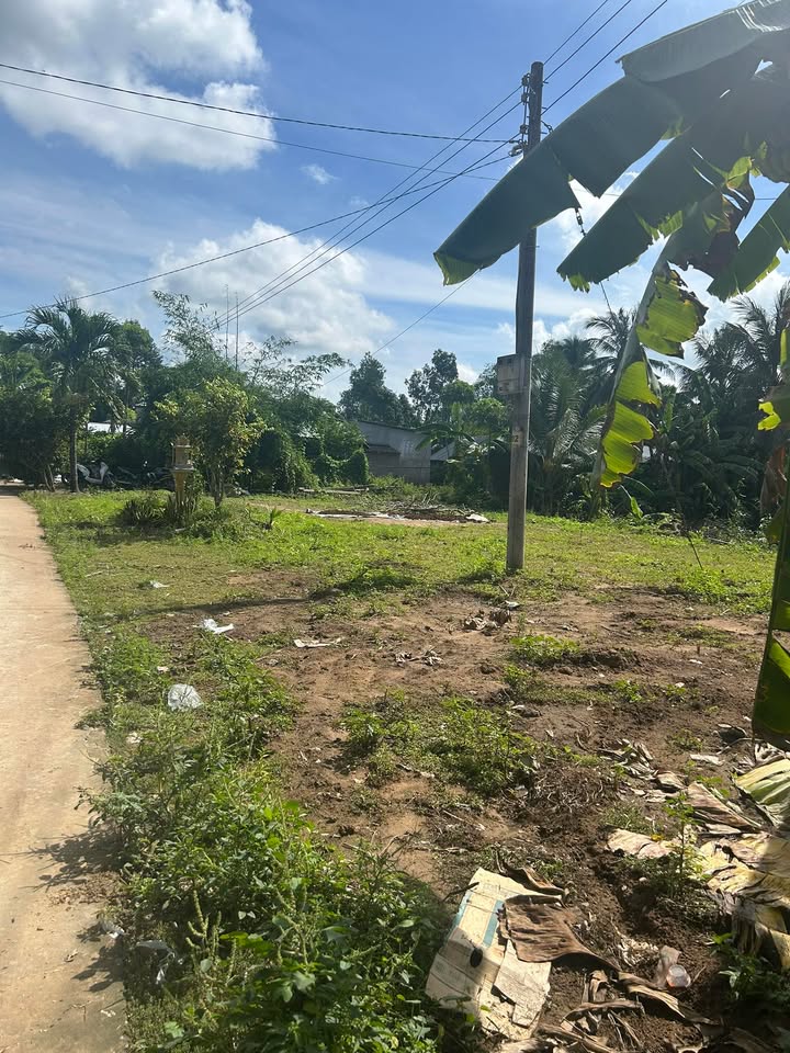 Đất nền ấp 2 xã Phong Phú 1650m² giá 1.65 tỷ - Sổ hồng chính chủ, gần chợ và trường học!