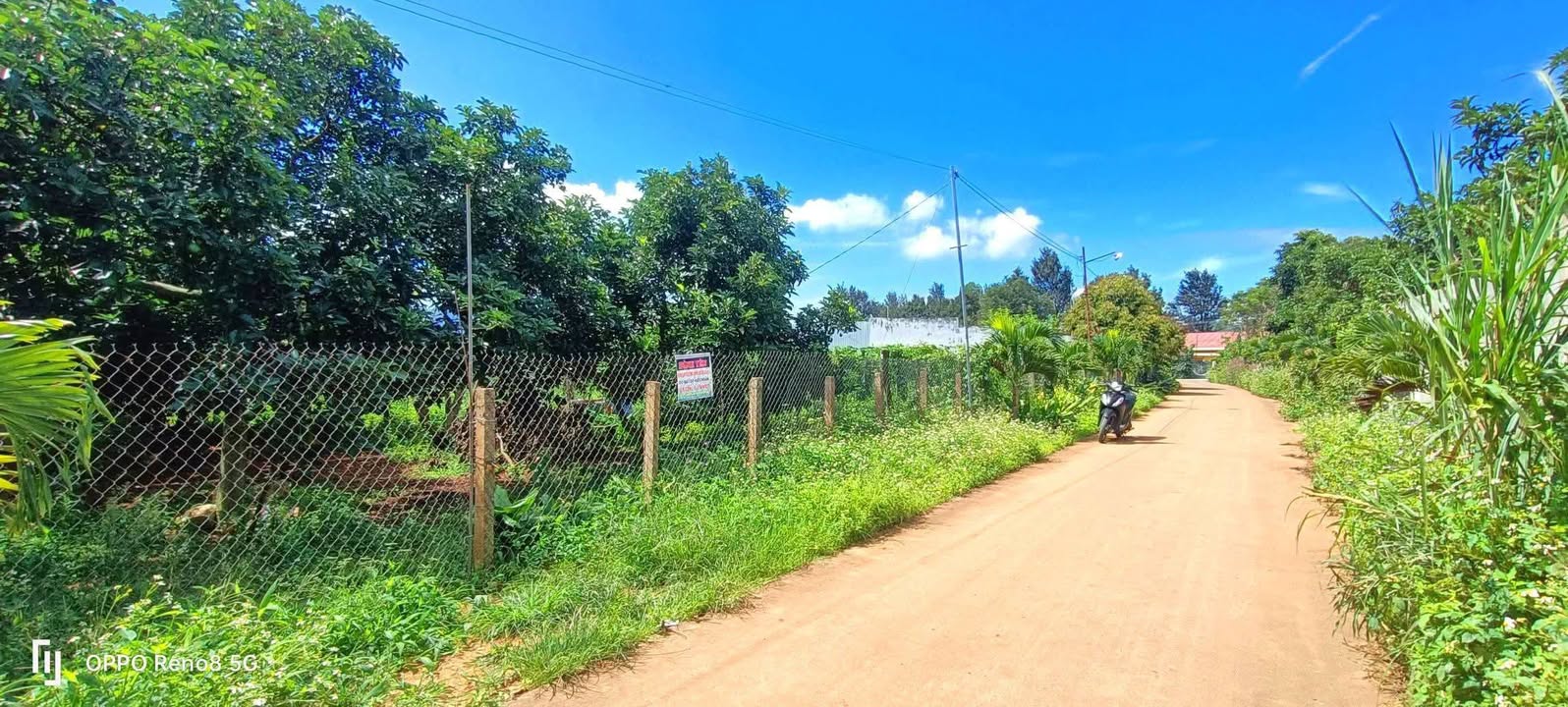 Đất mặt tiền đường bê tông xã Quảng Lập, Đơn Dương 1000m² giá 150 triệu - Đầu tư hấp dẫn!