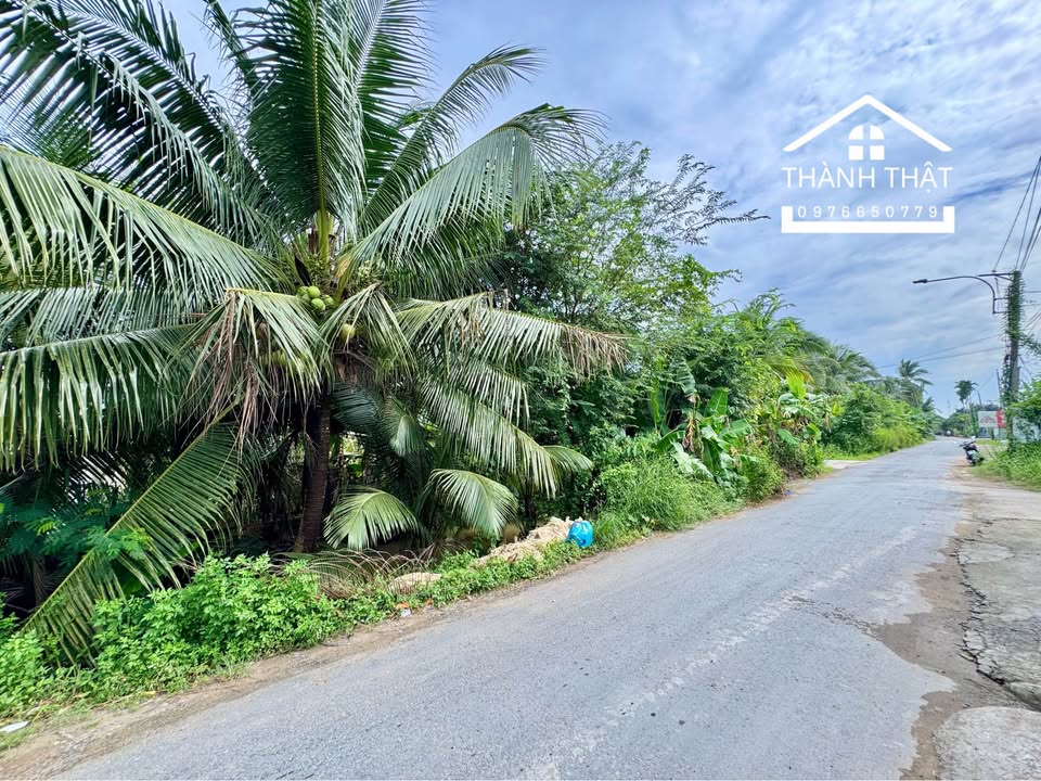 Đất nền thổ cư mặt tiền đường HL90C 125m² giá 1.5 tỷ - Gần Quảng Trường Mỹ Tho!