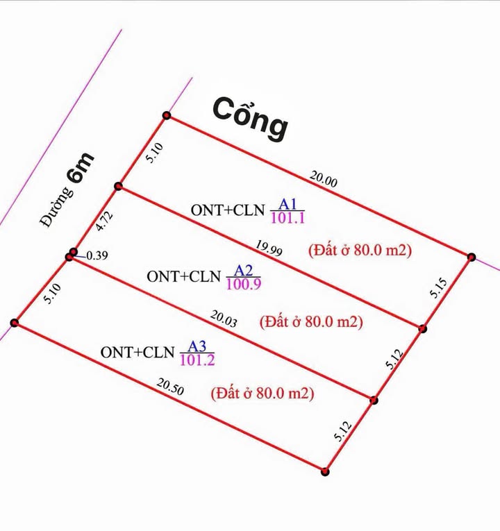 Đất nền Thôn Kiên Tháp, xã Tam Dương Bắc 100m² giá chỉ 600 triệu - Cơ hội đầu tư không thể bỏ lỡ!