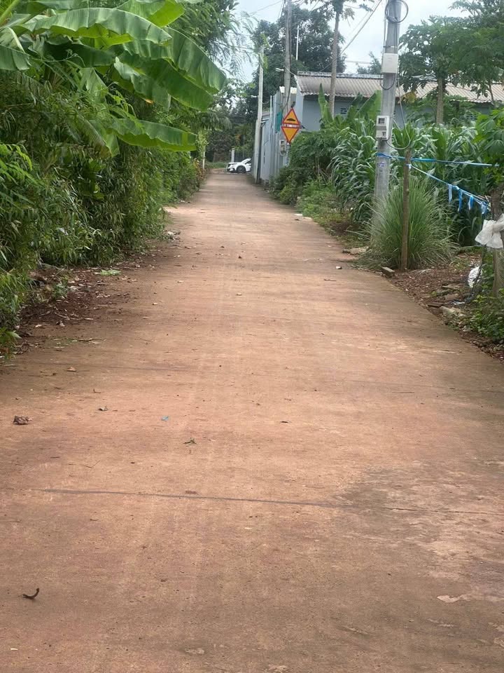 Đất nền Nghĩa Thành, Châu Đức 230m² giá 1 tỷ - Cơ hội đầu tư tuyệt vời!