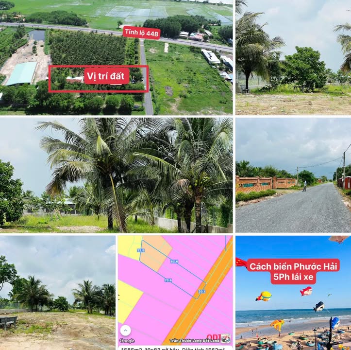 Đất nền 1585m² tại Phước Hải, Bà Rịa - Vũng Tàu giá chỉ 6.99 tỷ - Sổ hồng riêng, vị trí đắc địa!