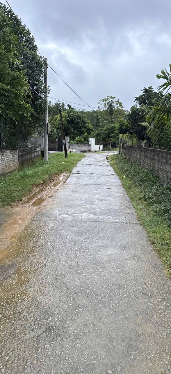 Đất nền liền kề Văn Phú Nho Quan 29m² - Đầu tư sinh lời hấp dẫn!