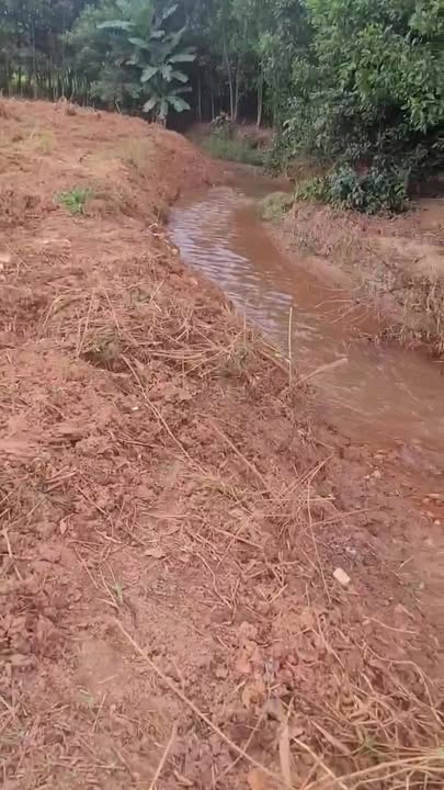 Đất nền Xuân Hòa, Đồng Nai 8700m² - Sổ đỏ chính chủ, giá thỏa thuận hấp dẫn!