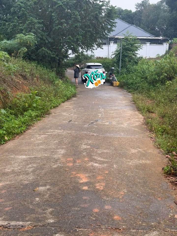 Đất nền 97m² tại khu 7 Thanh Đình, Việt Trì - Giá chỉ 600 triệu, đầu tư sinh lời chắc chắn!