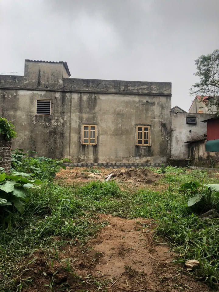 Đất thổ cư Thôn Đông Thai, Vân Tảo, Thường Tín 91m² - Giá chỉ 3.2 tỷ