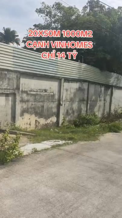 Đất nền 1000m² Hóc Môn giá 14 tỷ - Tiềm năng đầu tư vượt trội!