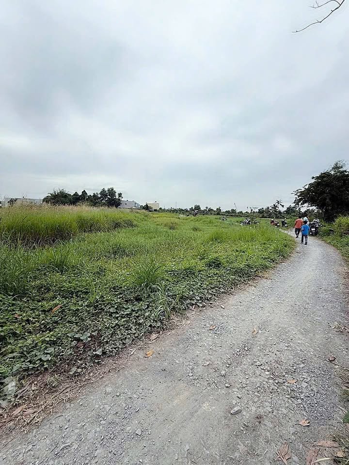 Bán đất mặt tiền Cầu Sập Bình Mỹ Củ Chi 150m² giá 2.35 tỷ - Sổ đỏ chính chủ