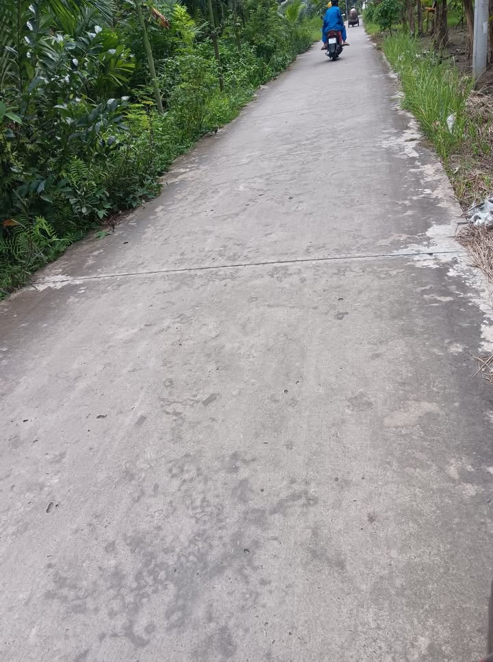 Đất nền Bến Tre 143m² giá 420 triệu - Sổ hồng chính chủ, mặt tiền đường rộng!