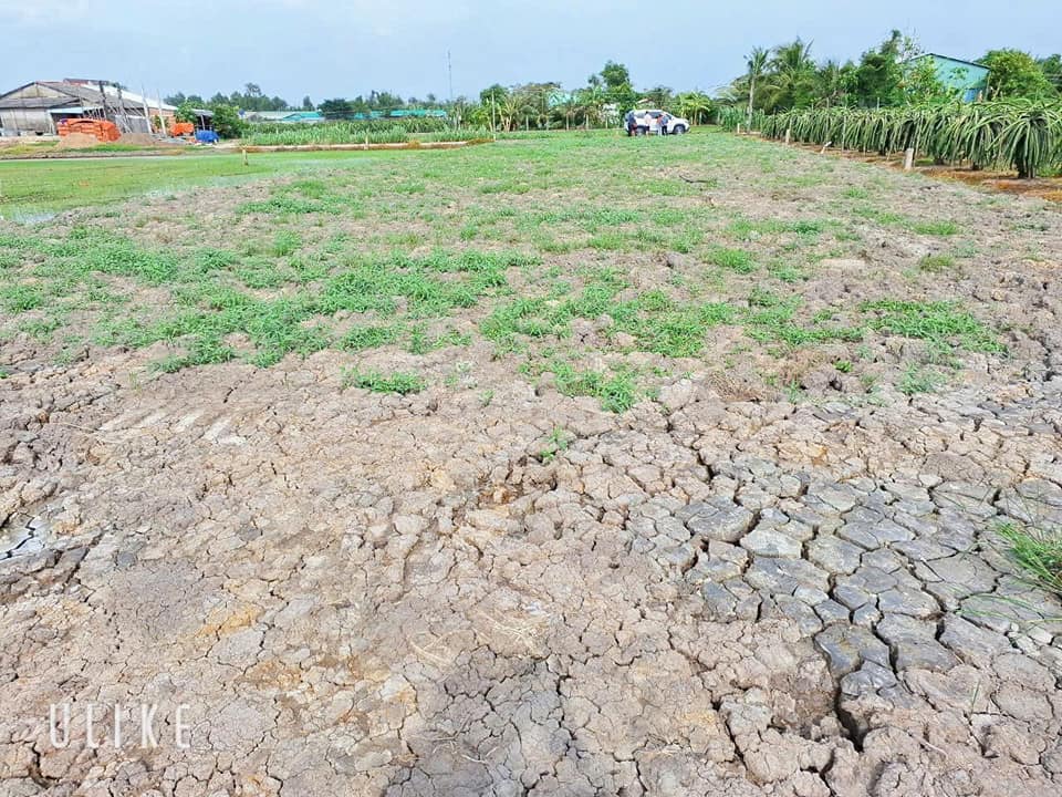 Đất vườn 500m² xã Đức Tân, Tân Trụ - Giá 595 triệu, vị trí đẹp!