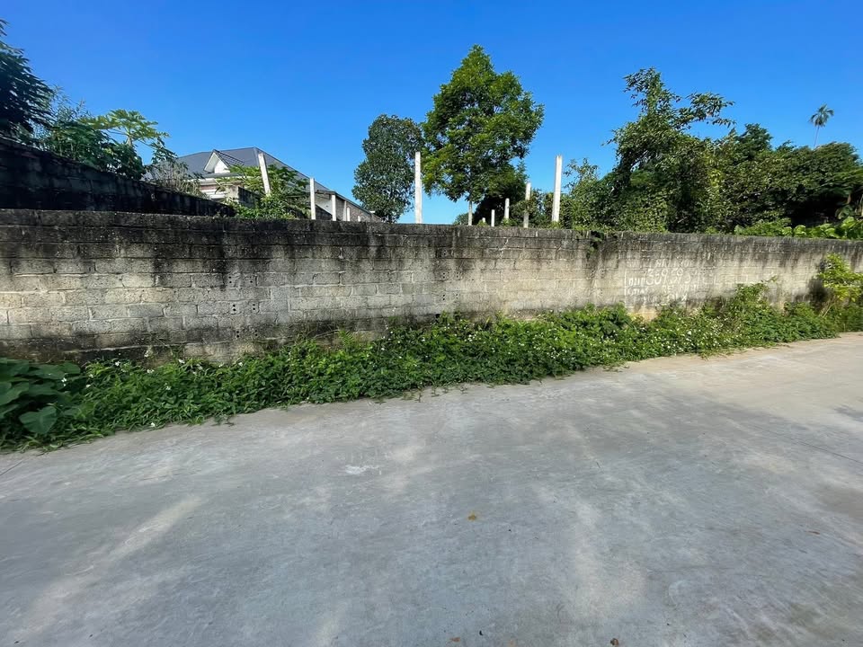 Đất nền 506m² mặt tiền 16m tại xã Đông Thành, giá chỉ từ 100 triệu - Đầu tư sinh lời ngay!