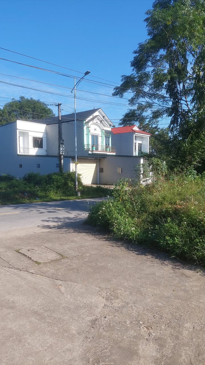 Đất nền mặt tiền đường Nguyễn Trãi, phường Âu Cơ, 115.5m² - Cơ hội đầu tư lý tưởng!