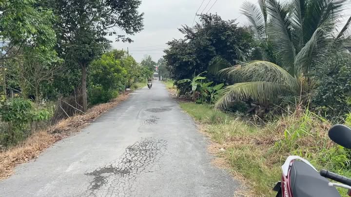 Đất nền thổ cư 260m² xã Hiệp Thạnh, Châu Thành, Long An - Giá chỉ 890 triệu!