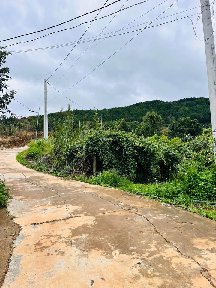 Đất nền nghỉ dưỡng Nam Ban 1000m² giá 1.9 tỷ - Sẵn sàng đầu tư!