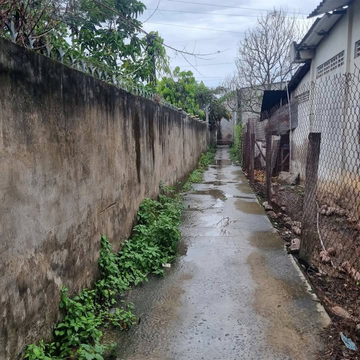 Đất CLN 4.231m² - Trung An, Mỹ Tho, Tiền Giang - Giá 1.95 tỷ - Tiềm năng lớn cho đầu tư!