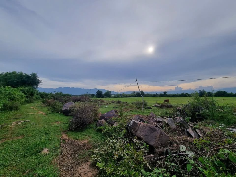 Đất Farm 1,65 Ha Thôn Tẩn Bổn, Ninh Thuận - Giá Chỉ 4,62 Tỷ - Tiềm Năng Phát Triển Cao!