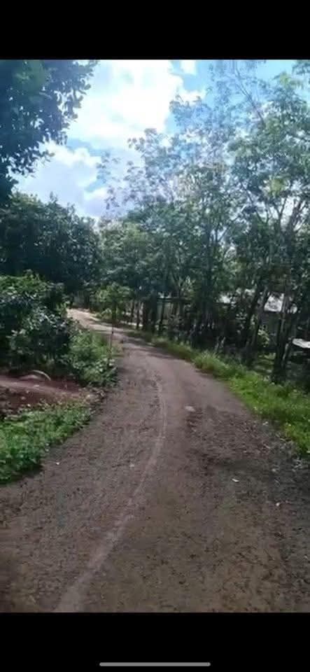 Đất nền An Khương, Hớn Quản 1400m² giá chỉ 230 triệu - Cơ hội đầu tư tuyệt vời!