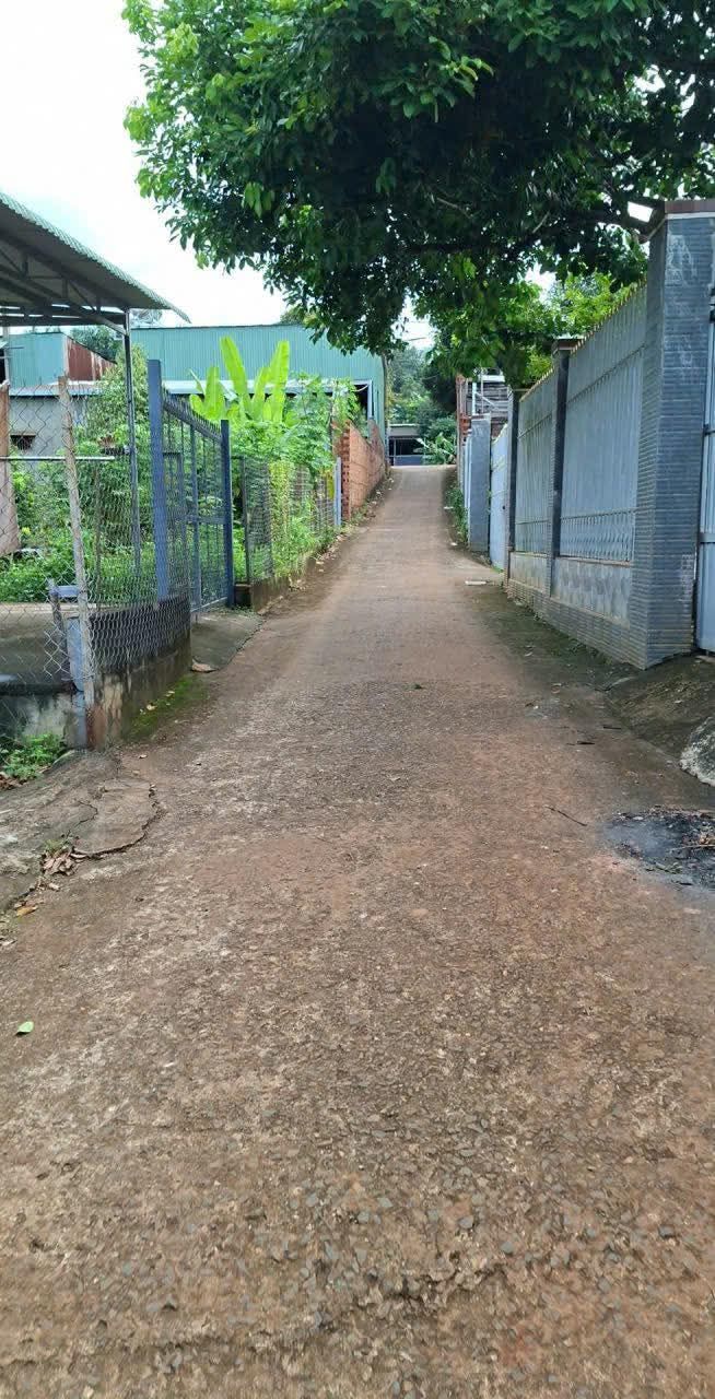 Nhà cấp 4 tại phường An Lộc, Bình Long 400m² giá 600 triệu - Cơ hội đầu tư tuyệt vời!