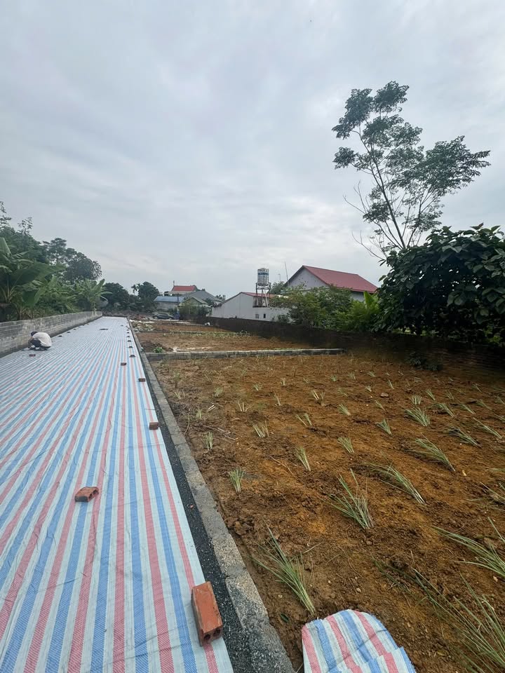 Đất nền Phú Cát Quốc Oai 100m² giá 2 tỷ - Đầu tư sinh lời cao!