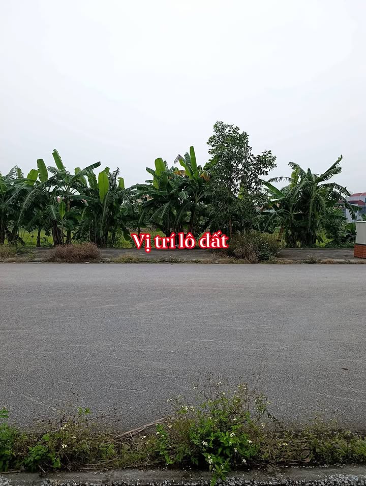 Đất đấu giá Bình Mỹ, Bình Lục 105m² giá 2.1 tỷ - Sổ đỏ chính chủ!