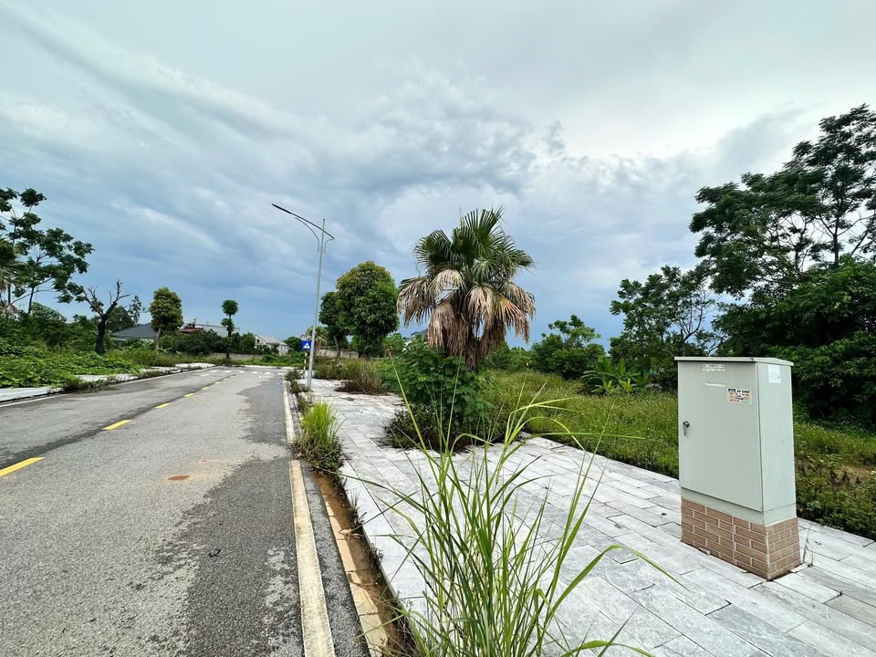 Đất nền KĐT Việt Trì Spring 100m² giá 2.xx tỷ - Vị trí đắc địa, cơ hội đầu tư hấp dẫn!