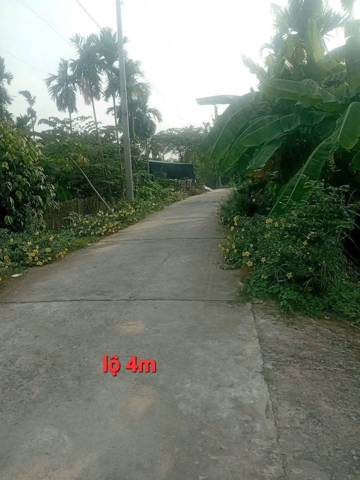 Nhà 1 trệt 1 lầu Phong Điền Cần Thơ 336m² giá 1.1 tỷ - Đầu tư lý tưởng!