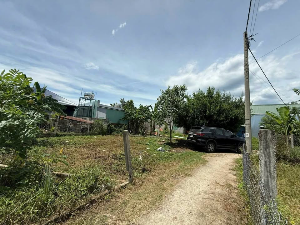 Đất nền Hòa Phong Đà Nẵng 165m² giá 800 triệu - Sổ đỏ chính chủ, cơ hội đầu tư hấp dẫn!