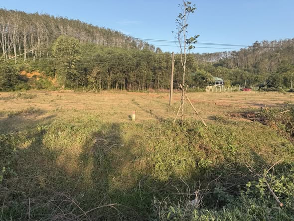 Đất nền Hương Khê 658m² giá chỉ 1.2 tỷ - Cơ hội đầu tư lý tưởng!