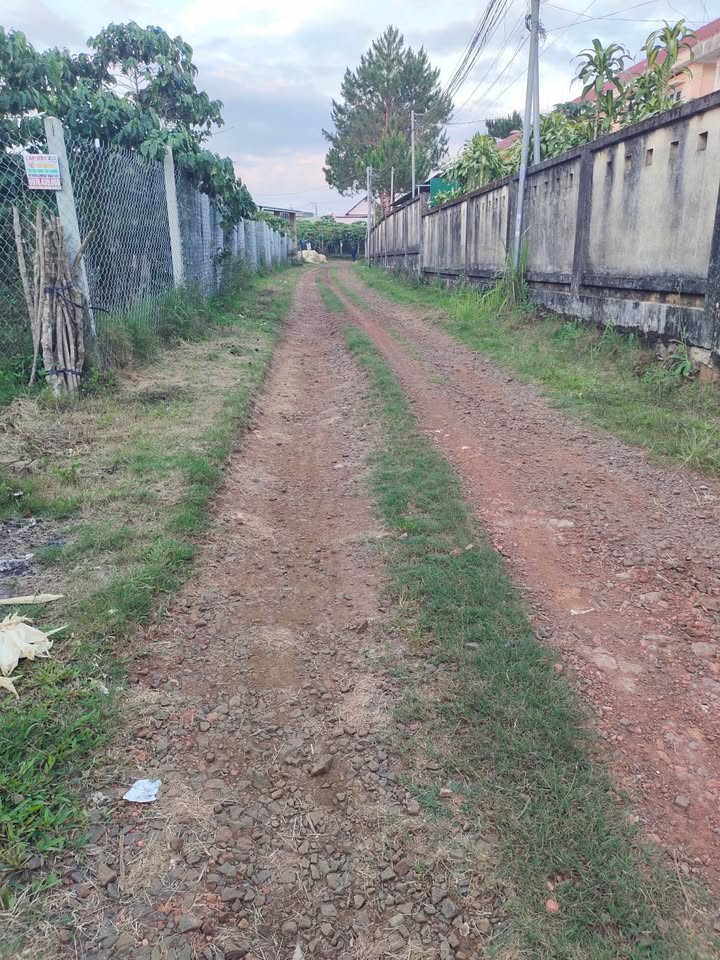 Đất nền 1 sào tại hẻm 177 Nguyễn Đình Chiểu, Bảo Lộc - Giá 4.25 tỷ, sổ đỏ chính chủ!